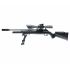 Пневматическая винтовка Umarex Walther 1250 Dominator FT (PCP, прицел 8-32x56)